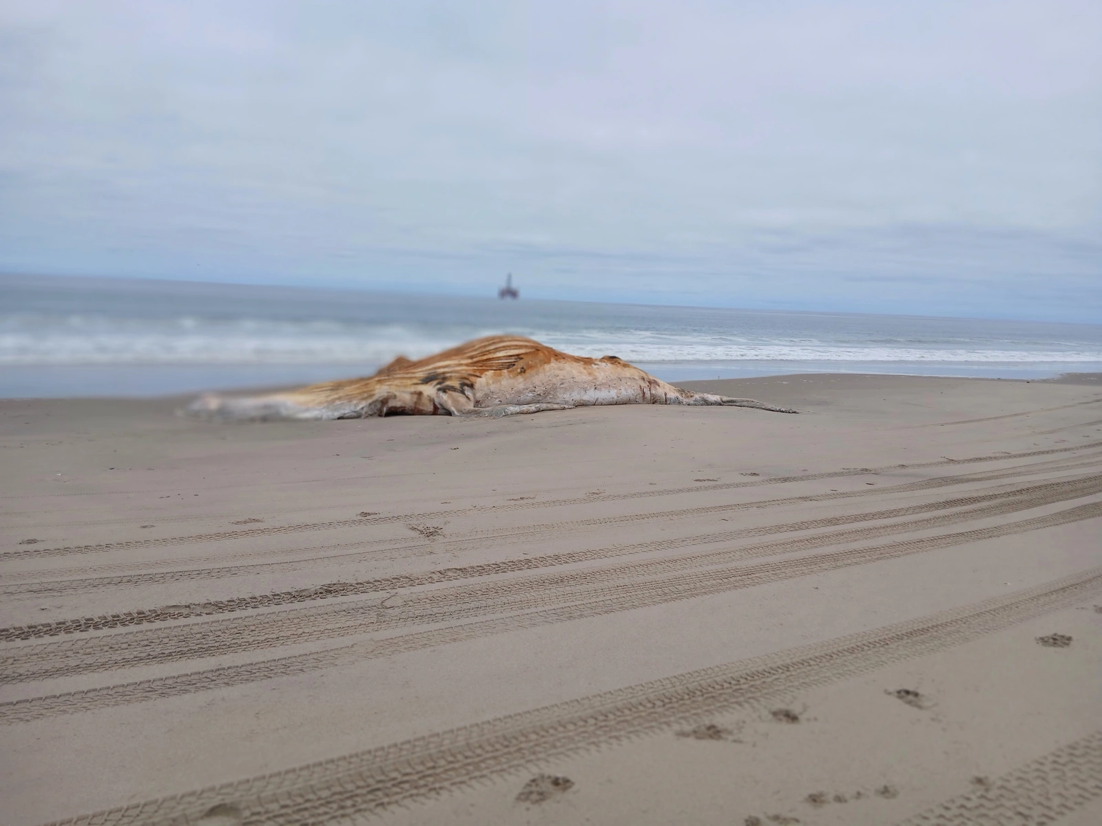 Shipwreck resting near the surf on a sandy beach