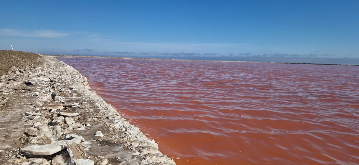 Pink salt pans on the route near Walvis Bay
